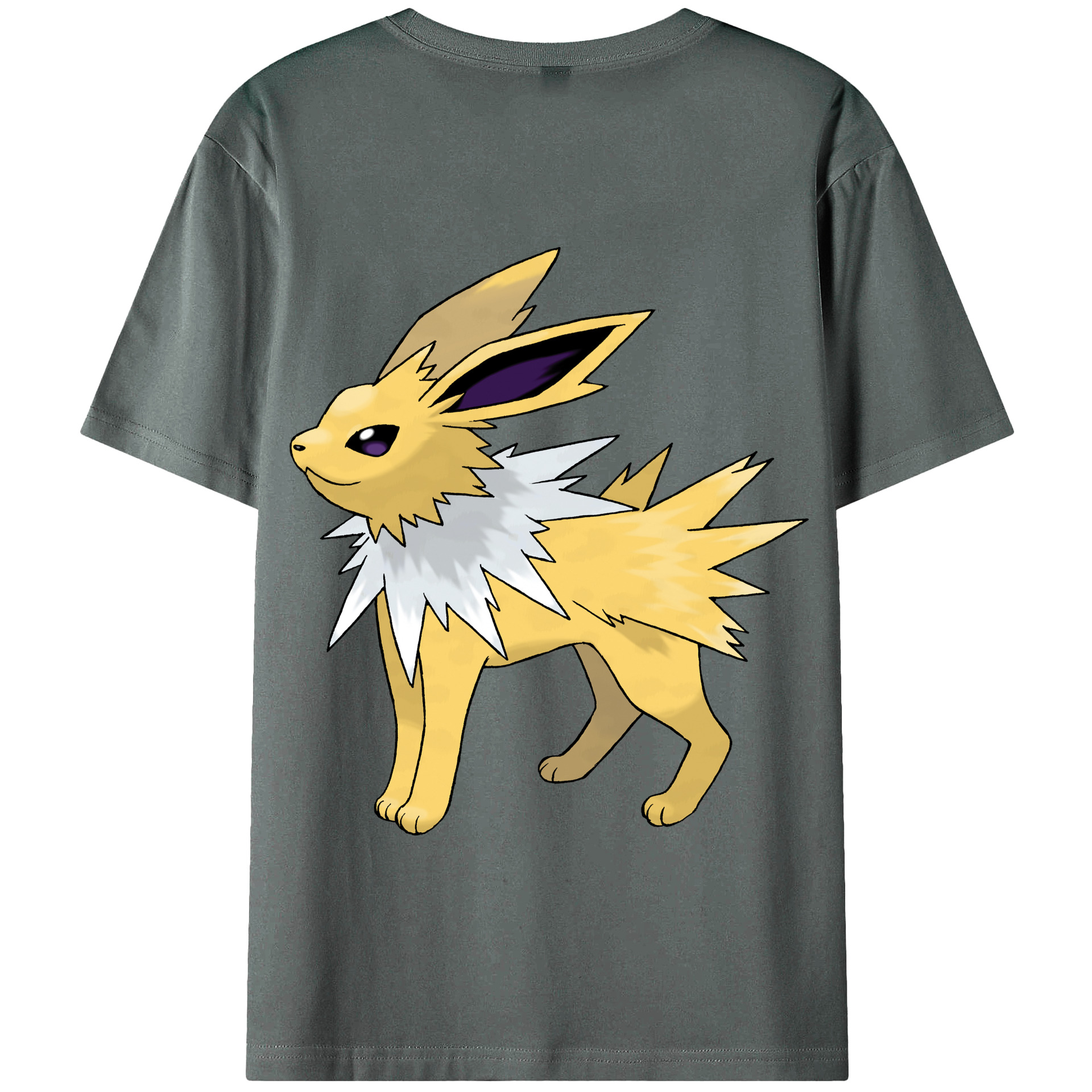（画像用） ポケットモンスター Pokémon 綿100％半袖Tシャツ（背面プリント）